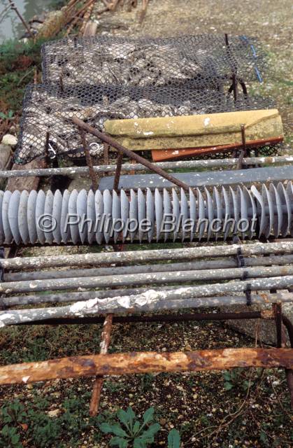 huitre oleron 21.JPG - Les différents types de collecteurs à huîtresMarennes Oléron, France